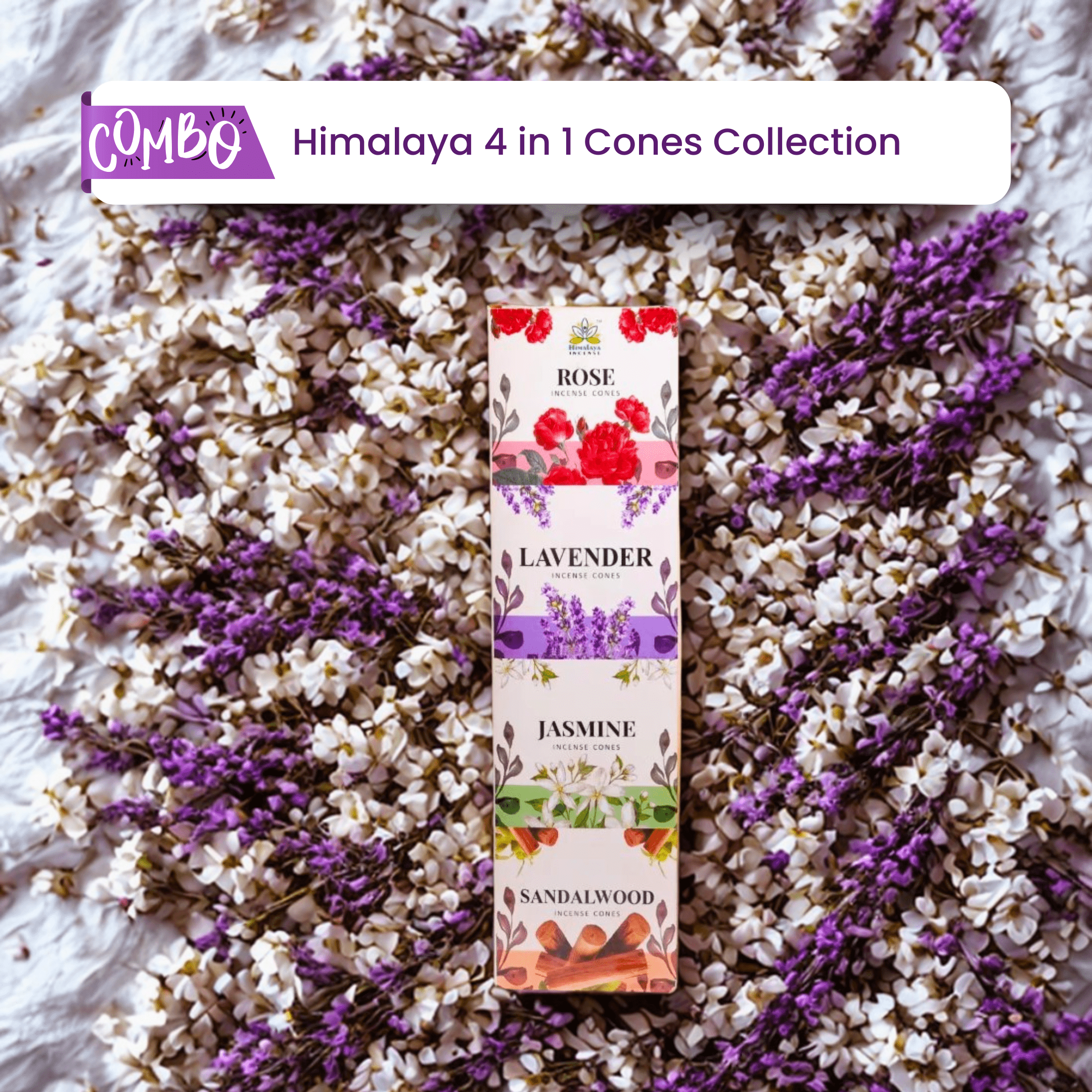 Himalaya 4 in 1 Cones Collection - Pack of 12