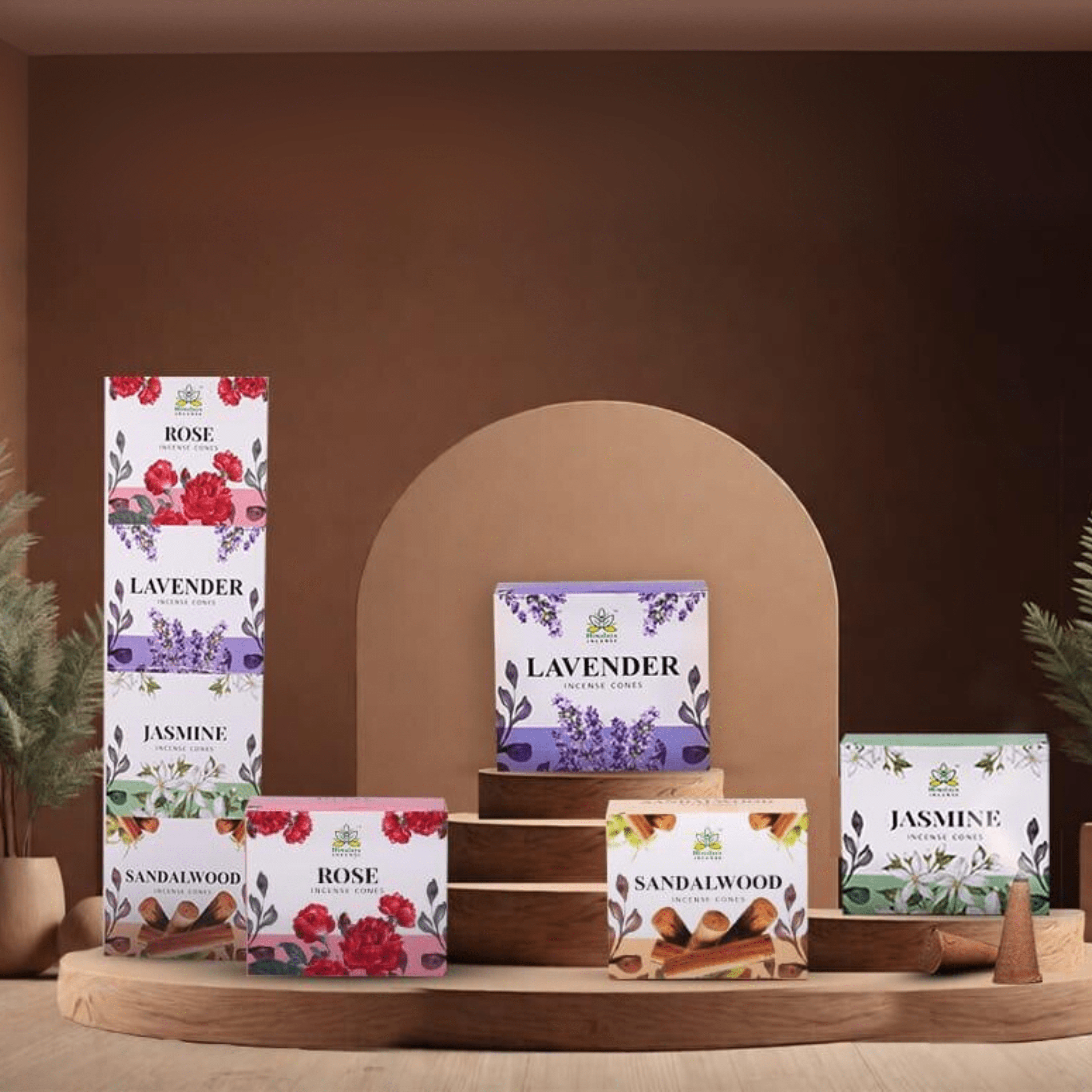 Himalaya 4 in 1 Cones Collection - Pack of 12