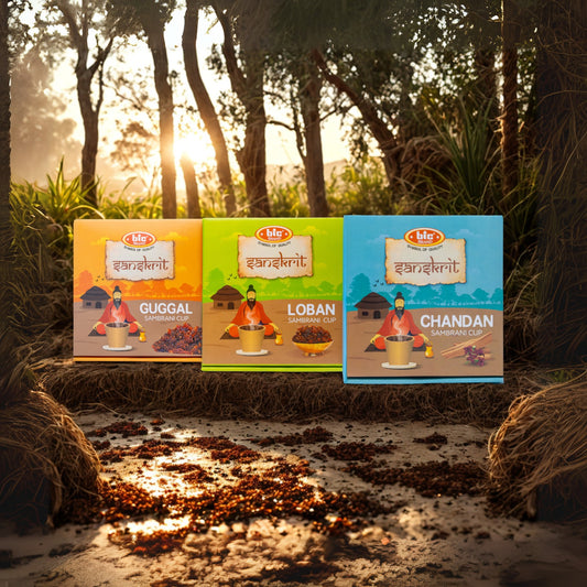 BIC Brand Sanskrit Sambrani Cups - Guggal, Loban, Chandan – Premium Natural Resin, Long Burn Time - 12 Cups Pack X 3 | 36 Cups